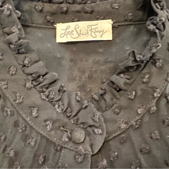 LoveShackFancy Erica SWISS DOT HIGH NECK LACE BLOUSE Ruffled Button Front Sheer - Picture 14 of 16